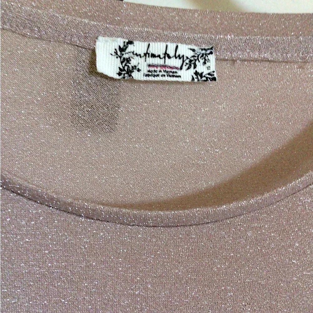 Free People Mesh Sparkly Sheer Top